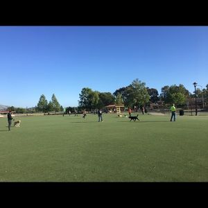 Meet your Posher, Chuthamad